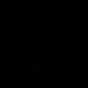 Meet your Posher, Kiki